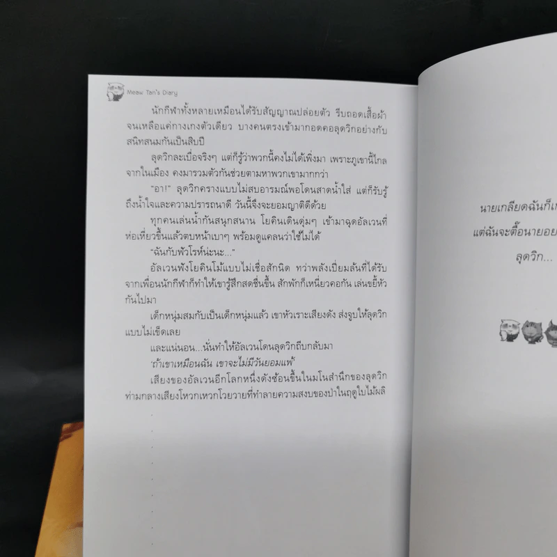 Box Set บันทึกรักแมวท่าน 3 เล่มจบ รูปที่ 14