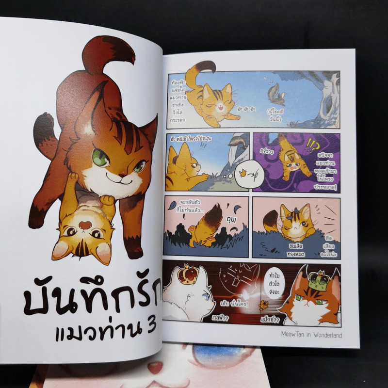Box Set บันทึกรักแมวท่าน 3 เล่มจบ รูปที่ 15