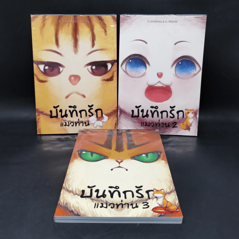 Box Set บันทึกรักแมวท่าน 3 เล่มจบ รูปที่ 4