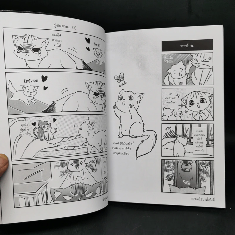 Box Set บันทึกรักแมวท่าน 3 เล่มจบ รูปที่ 12