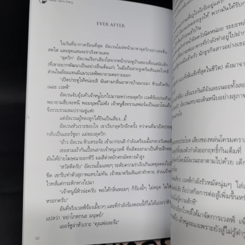Box Set บันทึกรักแมวท่าน 3 เล่มจบ รูปที่ 16