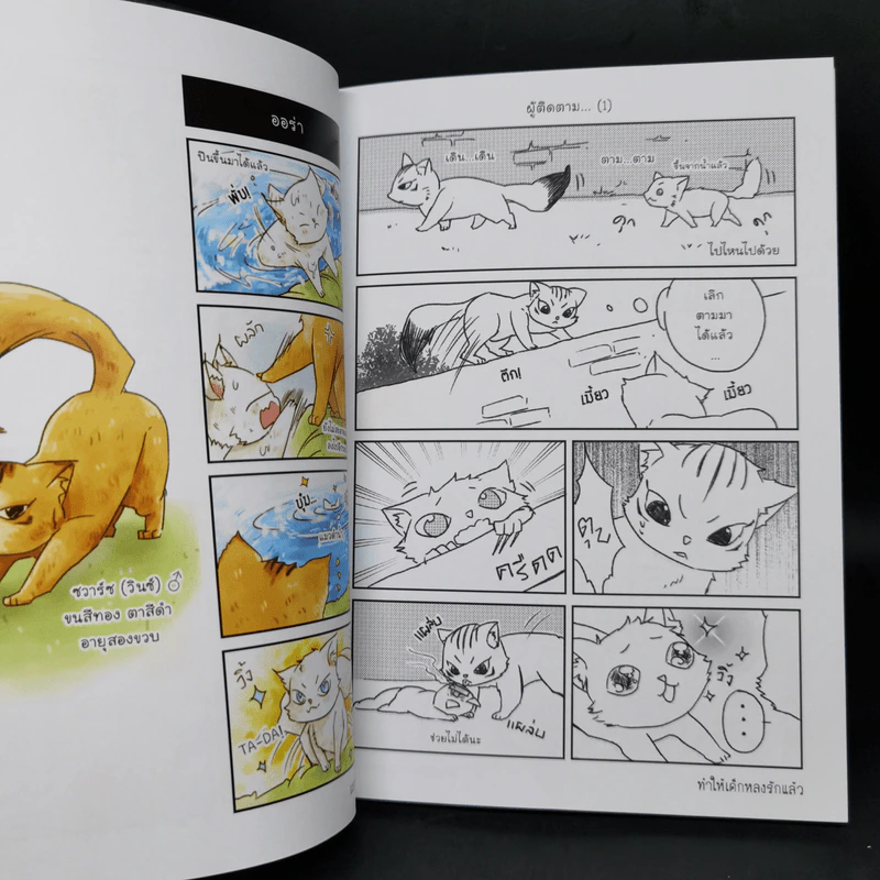 Box Set บันทึกรักแมวท่าน 3 เล่มจบ รูปที่ 11