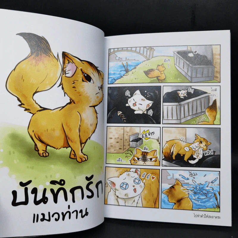 Box Set บันทึกรักแมวท่าน 3 เล่มจบ รูปที่ 10