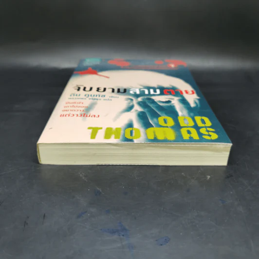 ODD THOMAS จับยามสามตาย - ดีน คูนท์ซ รูปที่ 4