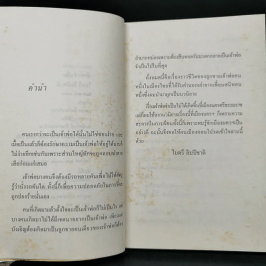 เจ้าพ่อจำเป็น - ไมตรี ลิมปิชาติ รูปที่ 9