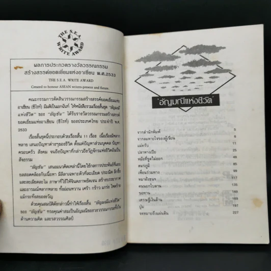 อัญมณีแห่งชีวิต - อัญชัน รูปที่ 8