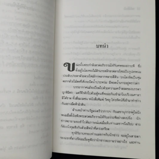สีกาอร - ผกามาศ ปรีชา รูปที่ 9