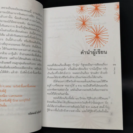 บานไม่รู้โรย - ปิ่นดา โพสยะ รูปที่ 9