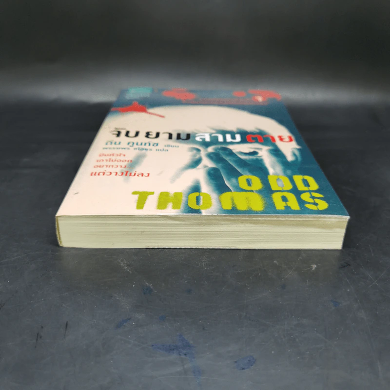 ODD THOMAS จับยามสามตาย - ดีน คูนท์ซ รูปที่ 4