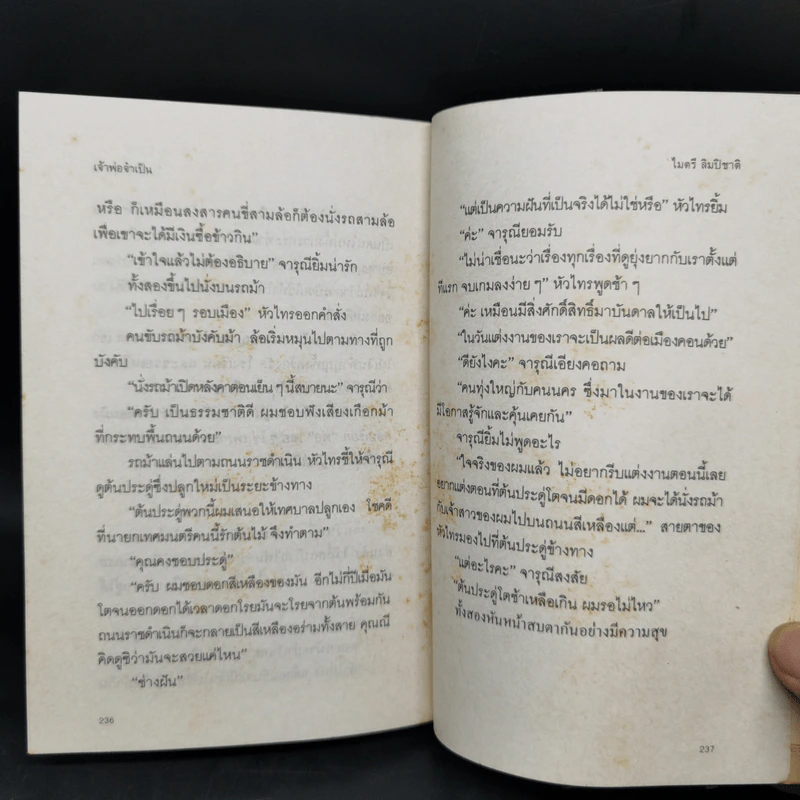 เจ้าพ่อจำเป็น - ไมตรี ลิมปิชาติ รูปที่ 11