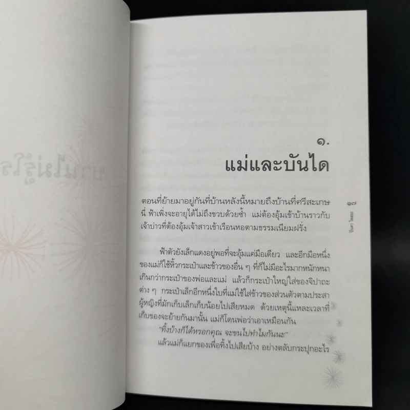 บานไม่รู้โรย - ปิ่นดา โพสยะ รูปที่ 10