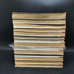 บ้านพักอลเวง 14 เล่มจบ รูปที่ 4