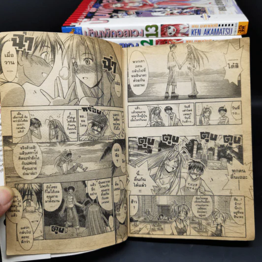 บ้านพักอลเวง 14 เล่มจบ รูปที่ 10