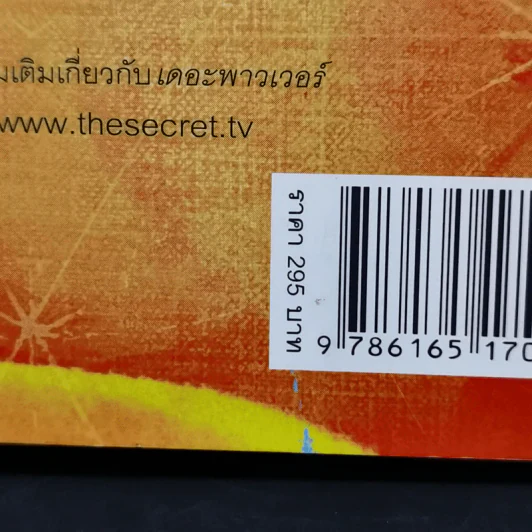 เดอะพาวเวอร์ - รอนดา เบิร์น รูปที่ 13