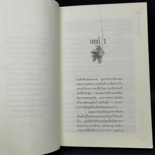 บันทึกเศร้าสาวเกาหลี - เอลิซาเบท คิม รูปที่ 9