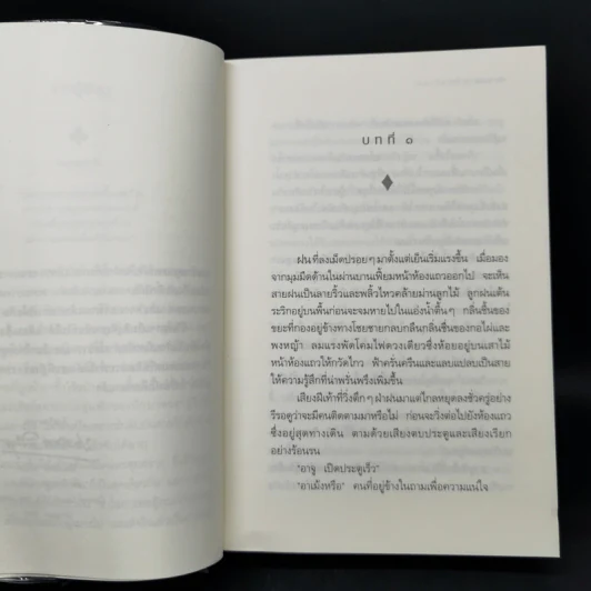 กุหลาบจีน - ประภัสสร เสวิกุล รูปที่ 9