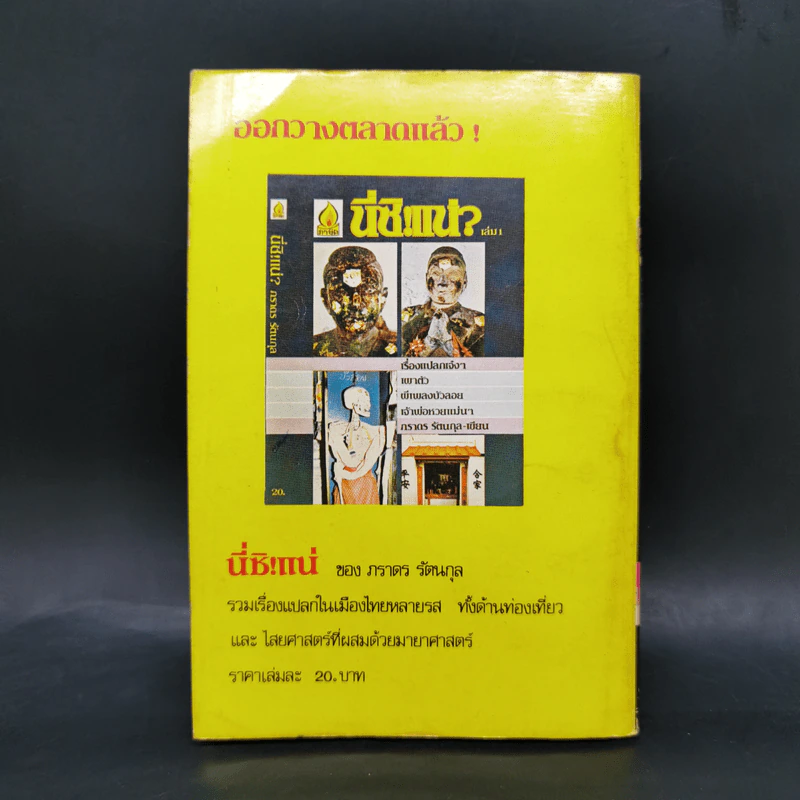 เซ็กซ์ชาวดอย ชีวิต สิทธิ กามารมณ์ - ภราดร รัตนกุล รูปที่ 2