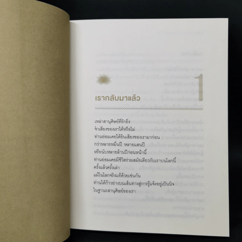 พระพุทธองค์กลับมาแล้ว - ริวโฮ โอคาวา รูปที่ 11