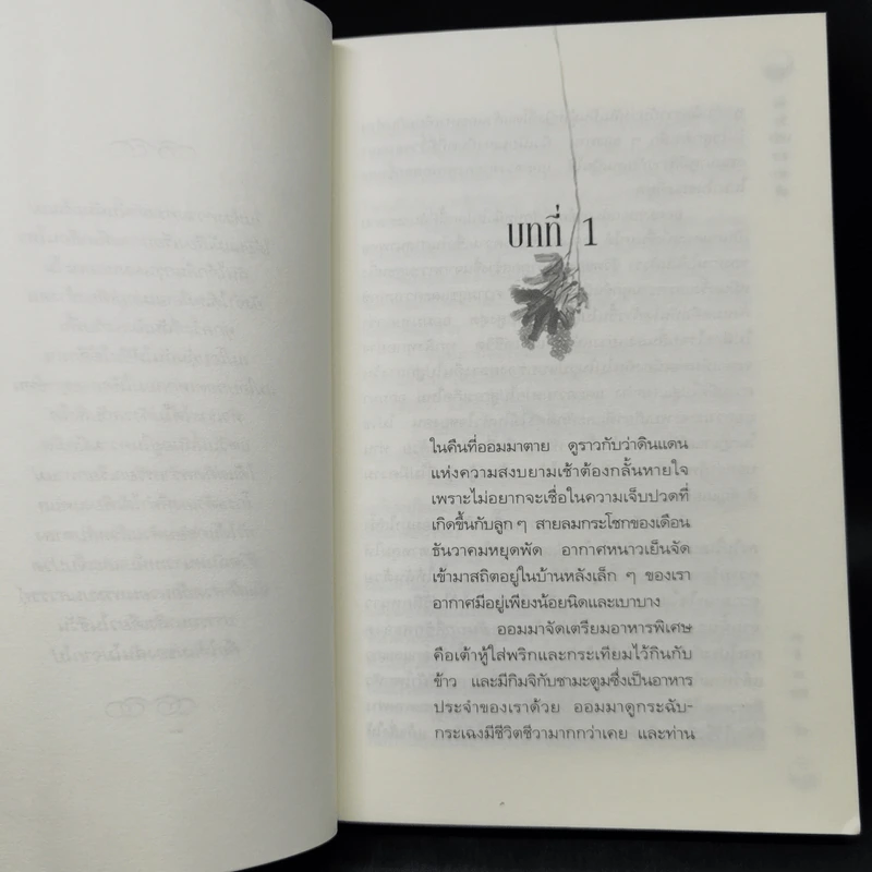 บันทึกเศร้าสาวเกาหลี - เอลิซาเบท คิม รูปที่ 9