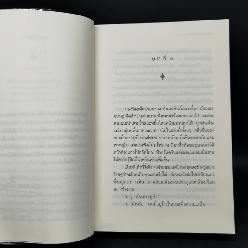 กุหลาบจีน - ประภัสสร เสวิกุล รูปที่ 9