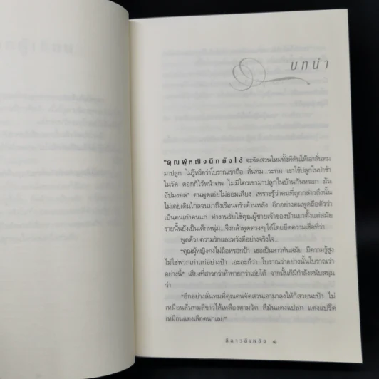 ลีลาวดีเพลิง - กิ่งฉัตร รูปที่ 9