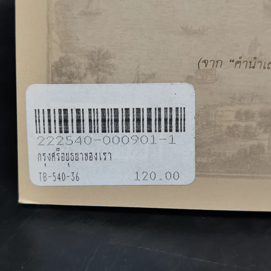 กรุงศรีอยุธยาของเรา - ศรีศักร วัลลิโภดม รูปที่ 11