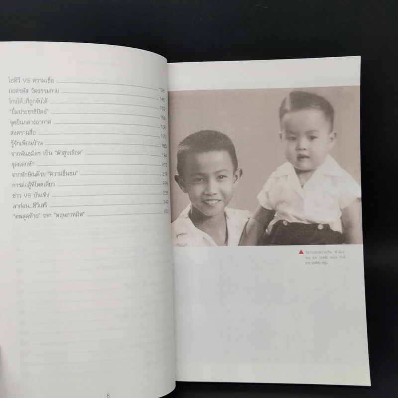เทพชัย หย่อง : บทสุดท้ายทีวีเสรี รูปที่ 10