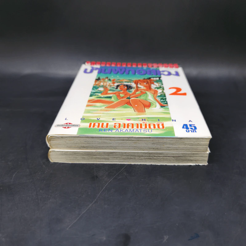 บ้านพักอลเวง เล่ม 1-2 รูปที่ 4