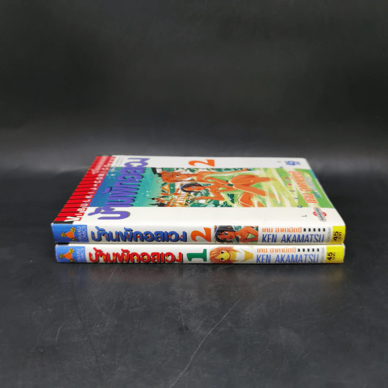 บ้านพักอลเวง เล่ม 1-2 รูปที่ 3