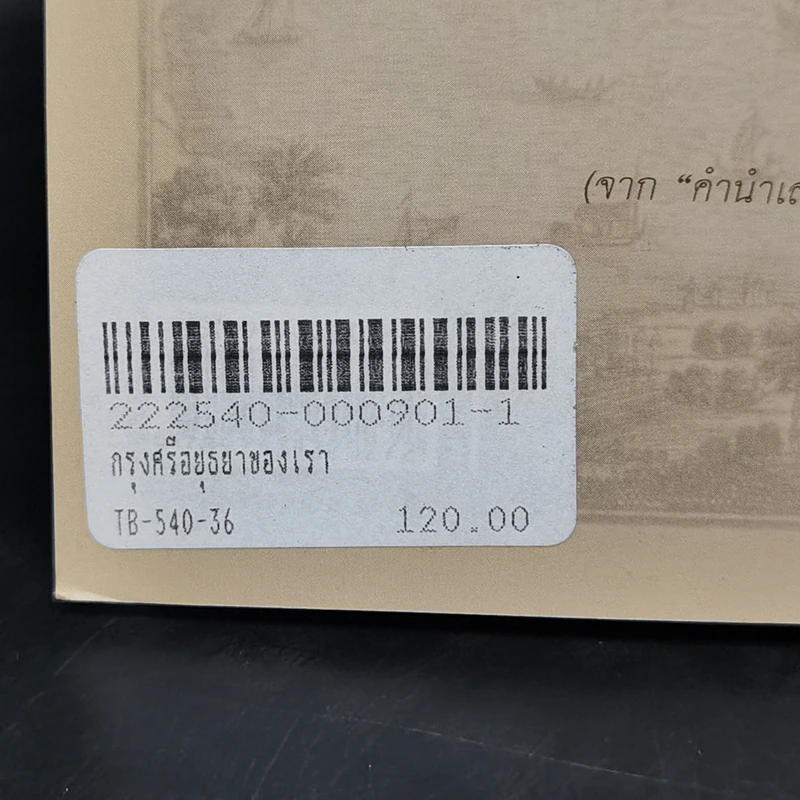 กรุงศรีอยุธยาของเรา - ศรีศักร วัลลิโภดม รูปที่ 11