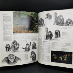 สำรวจชีวิต สัตว์โลกผู้น่าทึ่ง - รีดเดอร์ส ไดเจสท์ รูปที่ 13
