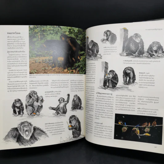 สำรวจชีวิต สัตว์โลกผู้น่าทึ่ง - รีดเดอร์ส ไดเจสท์ รูปที่ 13