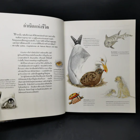 สำรวจชีวิต สัตว์โลกผู้น่าทึ่ง - รีดเดอร์ส ไดเจสท์ รูปที่ 11