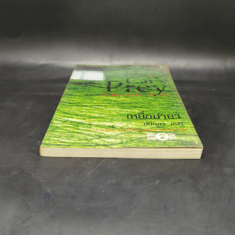 เหยื่อมายา Cat's Prey - มนันยา แปล รูปที่ 4