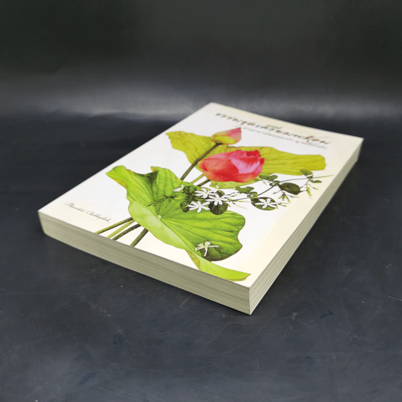 ธรรมชุดเตรียมพร้อม - ท่านอาจารย์พระมหาบัว ญาณสัมปันโน รูปที่ 7