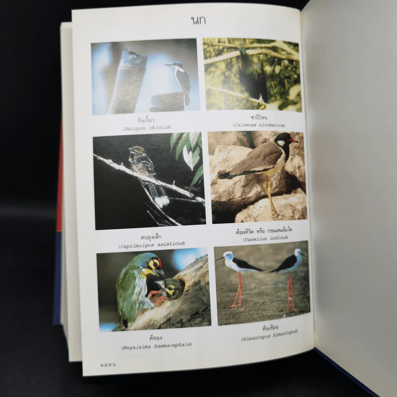 พจนานุกรมฉบับราชบัณฑิตยสถาน พ.ศ.2542 รูปที่ 12