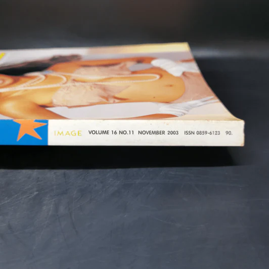 Image Vol.16 No.11 Nov 2003 รูปที่ 2