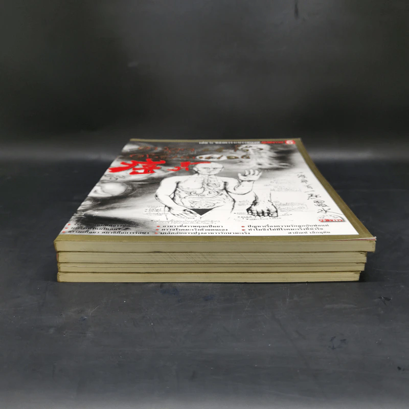คารวะบรรพบุรุษ จากผู้จัดการ เล่ม 2,3,5,6 - สายันห์ เล็กอุทัย รูปที่ 4