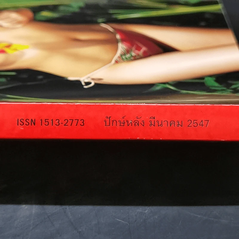 Lips มี.ค.2547 รูปที่ 2