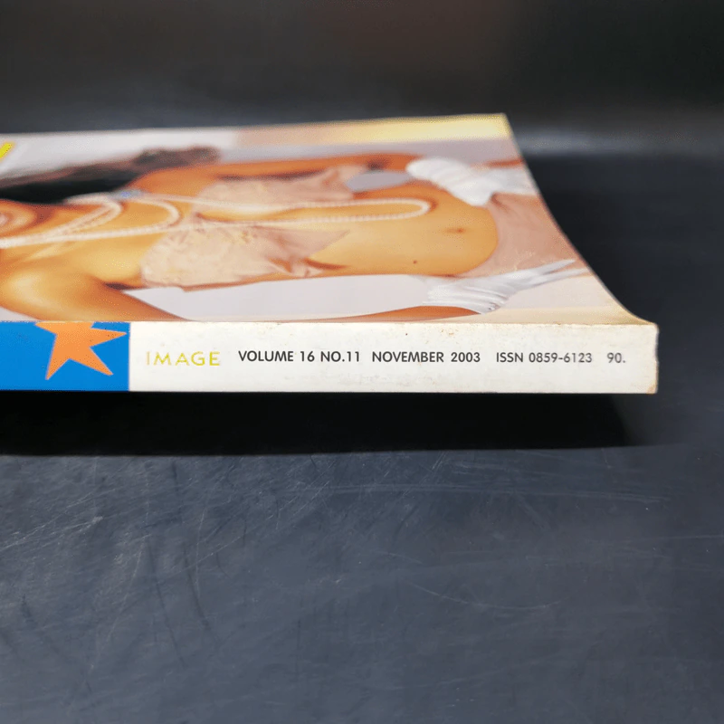Image Vol.16 No.11 Nov 2003 รูปที่ 2