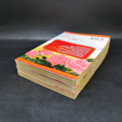 ยอดนักสืบแดนมังกร 3 เล่มจบ - Tomo Aoki รูปที่ 6
