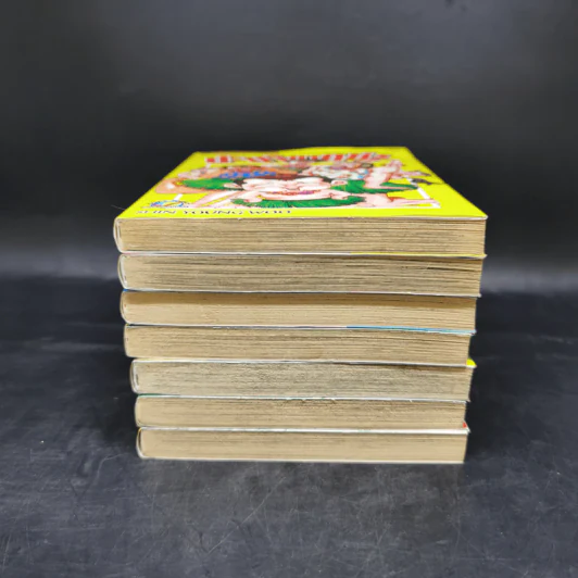 ป๊ะป๋ายากูซ่า เล่ม 1-8 รูปที่ 3