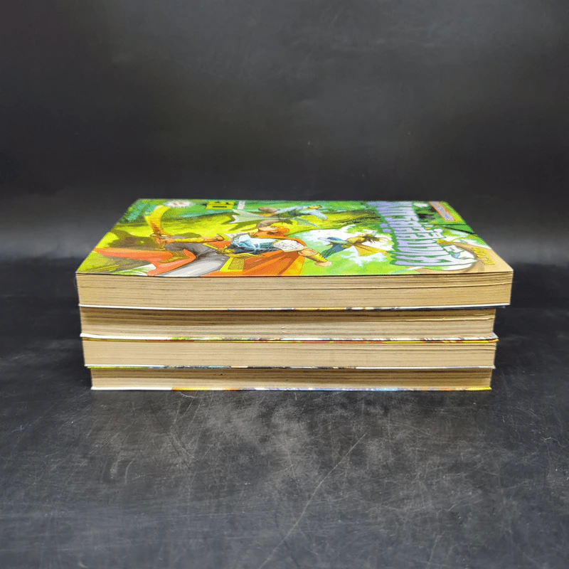 มังกรคู่สู้สิบทิศ เล่ม 47,48,49,50 รูปที่ 4