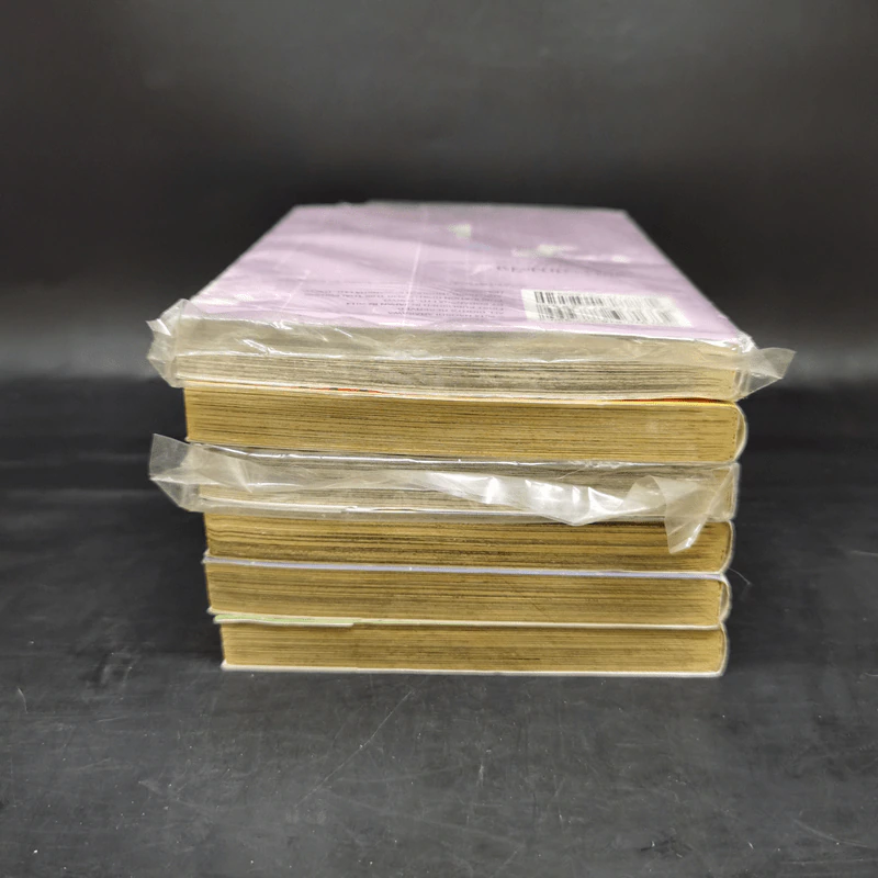 เพลงรักสองหัวใจ เล่ม 3-8 รูปที่ 5