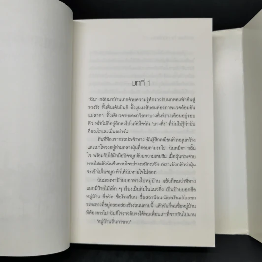 วิญญาณที่ถูกเนรเทศ - วิมล ไทรนิ่มนวล รูปที่ 9