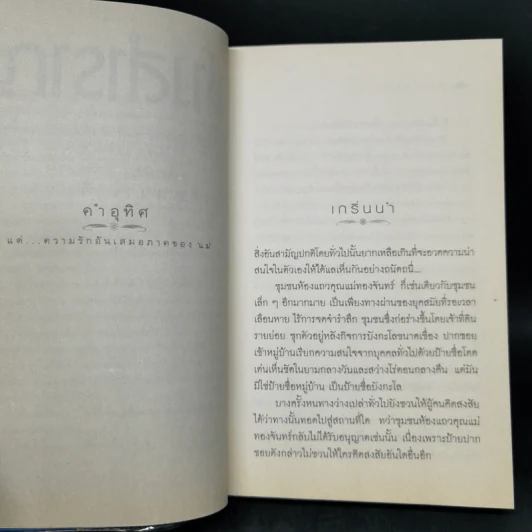 ช่างสำราญ - เดือนวาด พิมวนา รูปที่ 9