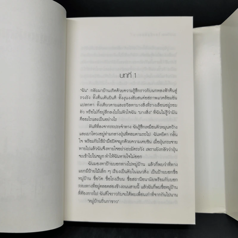 วิญญาณที่ถูกเนรเทศ - วิมล ไทรนิ่มนวล รูปที่ 9