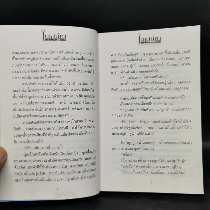 ใยเสน่หา 2 เล่มจบ - ทมยันตี รูปที่ 10