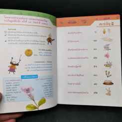 เด็กหญิงข้าวเปลือก รูปที่ 8