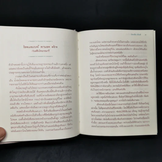 จินตนาการไม่รู้จบ The Neverending Story - มิชาเอ็ล เอ็นเด้ รูปที่ 10